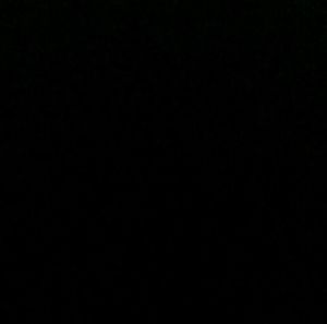 Meet your Posher, Ty